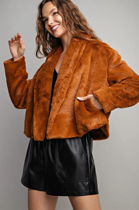 Brown Solid Teddy Fur Open Jacket