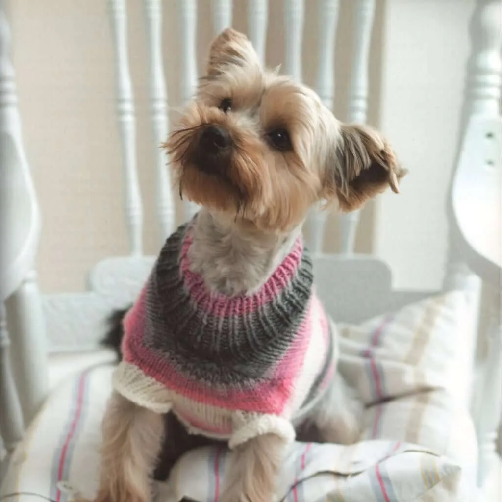 Outrageously Adorable Dog Knits: 25 Must-Have Styles for the Pampered Pooch