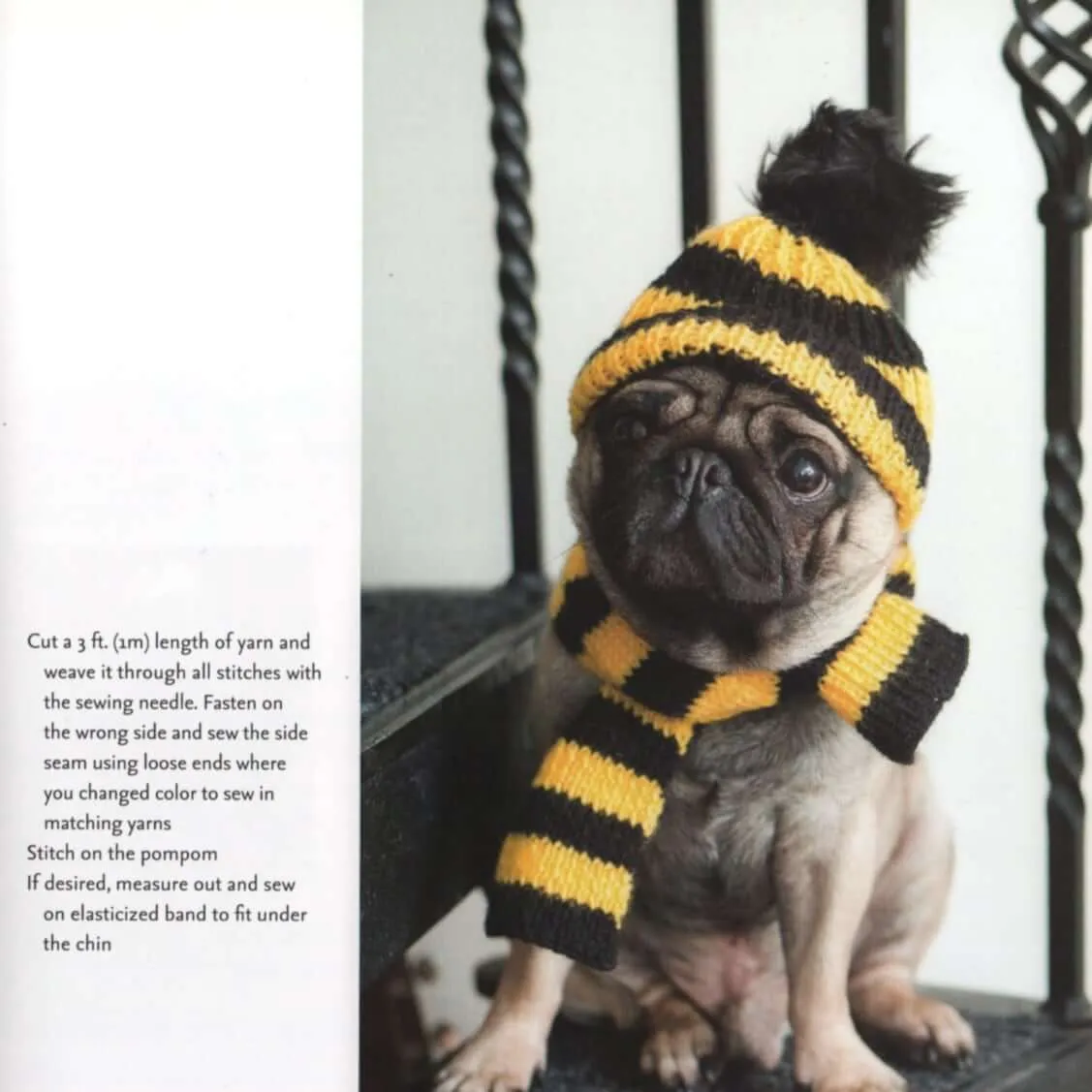 Outrageously Adorable Dog Knits: 25 Must-Have Styles for the Pampered Pooch