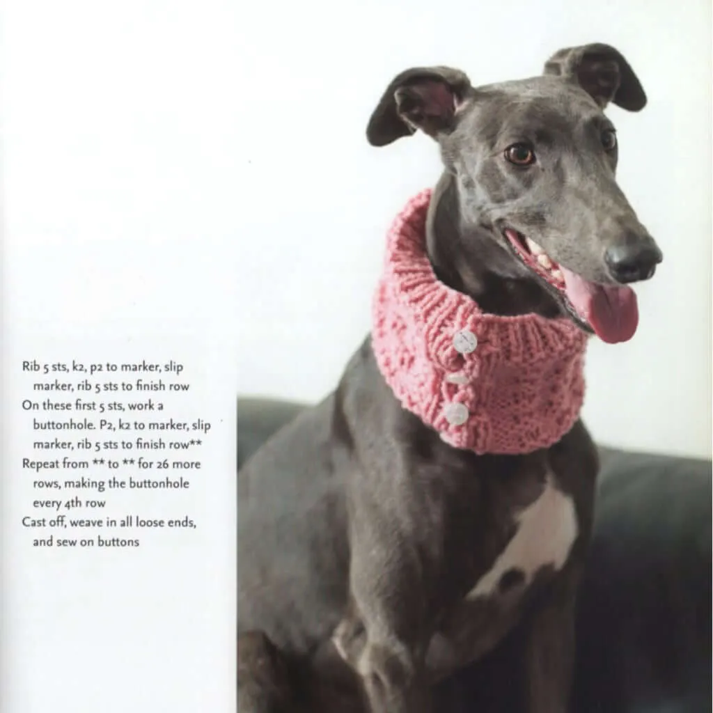 Outrageously Adorable Dog Knits: 25 Must-Have Styles for the Pampered Pooch