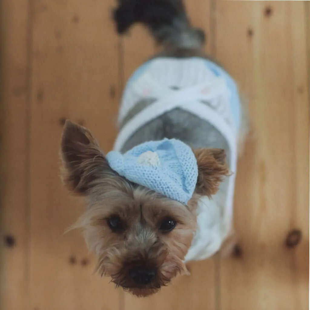 Outrageously Adorable Dog Knits: 25 Must-Have Styles for the Pampered Pooch